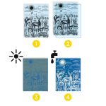 Djeco: Zestaw artystyczny cyjanotypia SAWANNA 7+ - obrazek 2