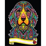 COLORVELVET: Kolorowanka Welwetowa A4 Seter