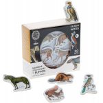Vilac: Magnesy zoologiczne drewniane 20 szt.