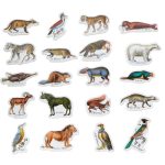 Vilac: Magnesy zoologiczne drewniane 20 szt. - obrazek 2