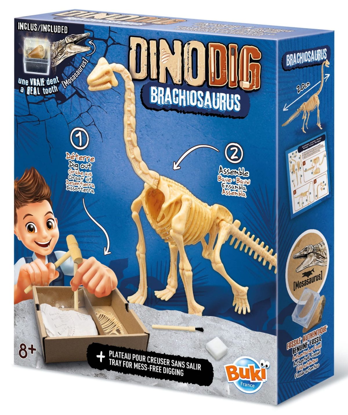 Buki: Mały paleontolog - Brachiozaur 8+ - obrazek 6