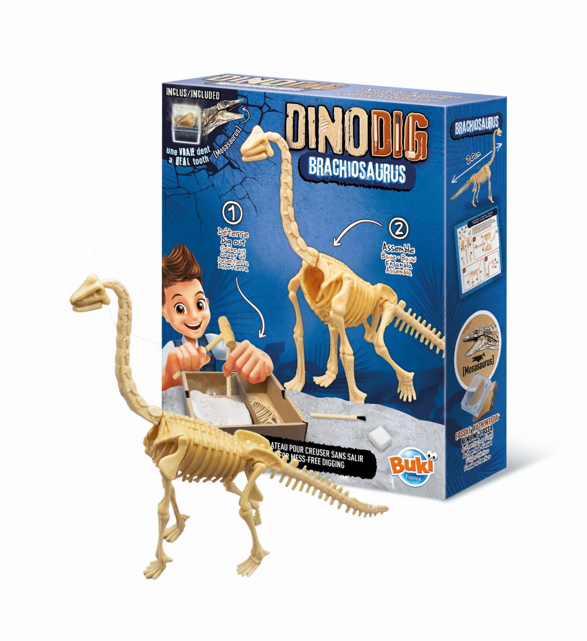 Buki: Mały paleontolog - Brachiozaur 8+ - obrazek 1