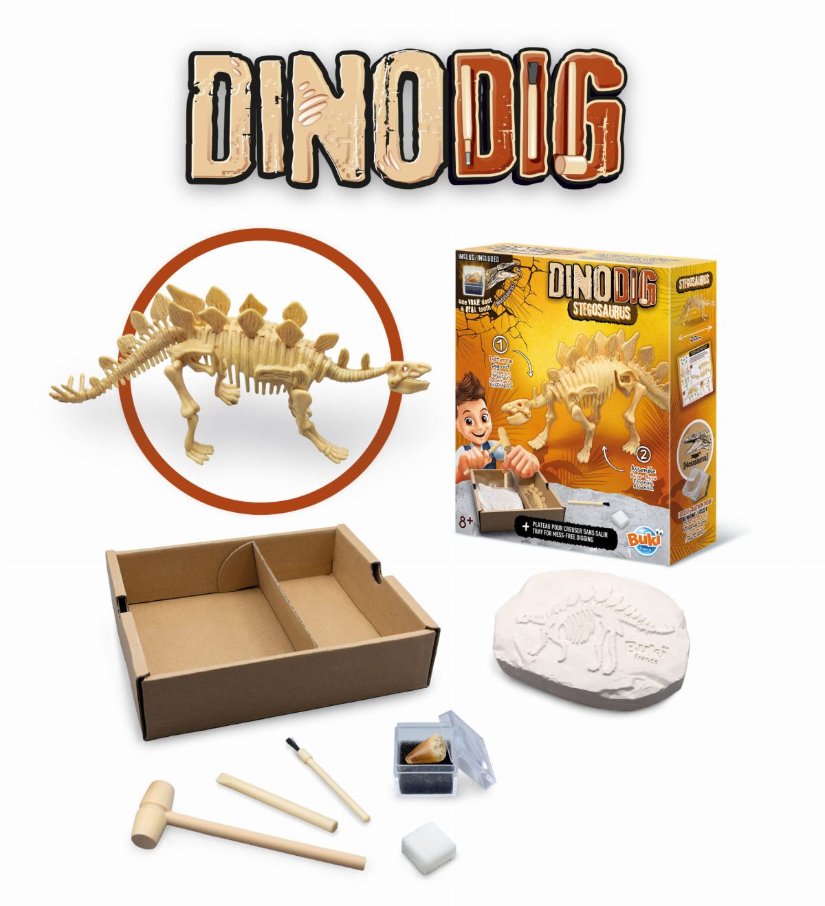 Buki: Mały paleontolog - Stegozaur 8+ - obrazek 2