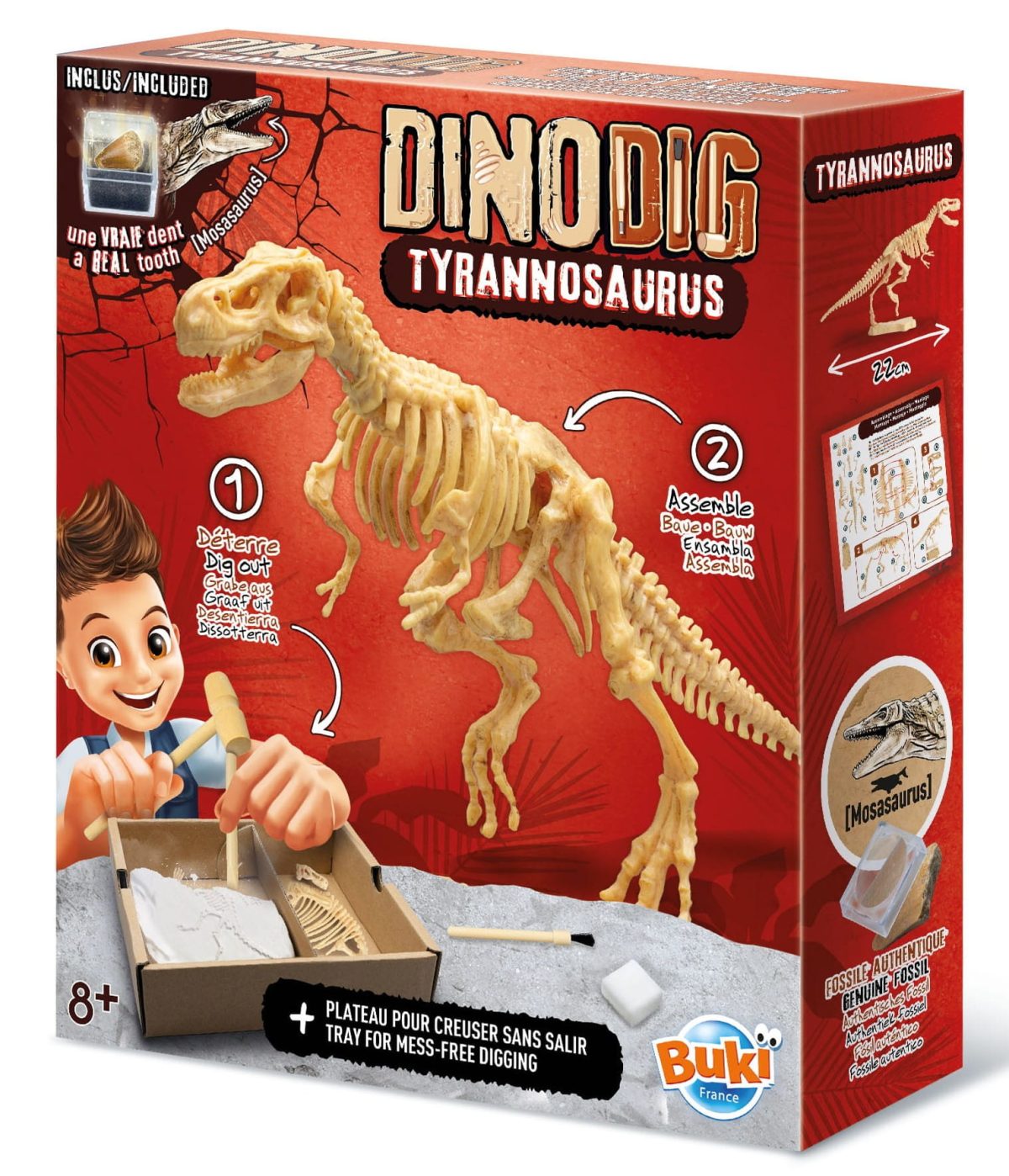 Buki: Mały paleontolog - Tyranozaur 8+ - obrazek 4