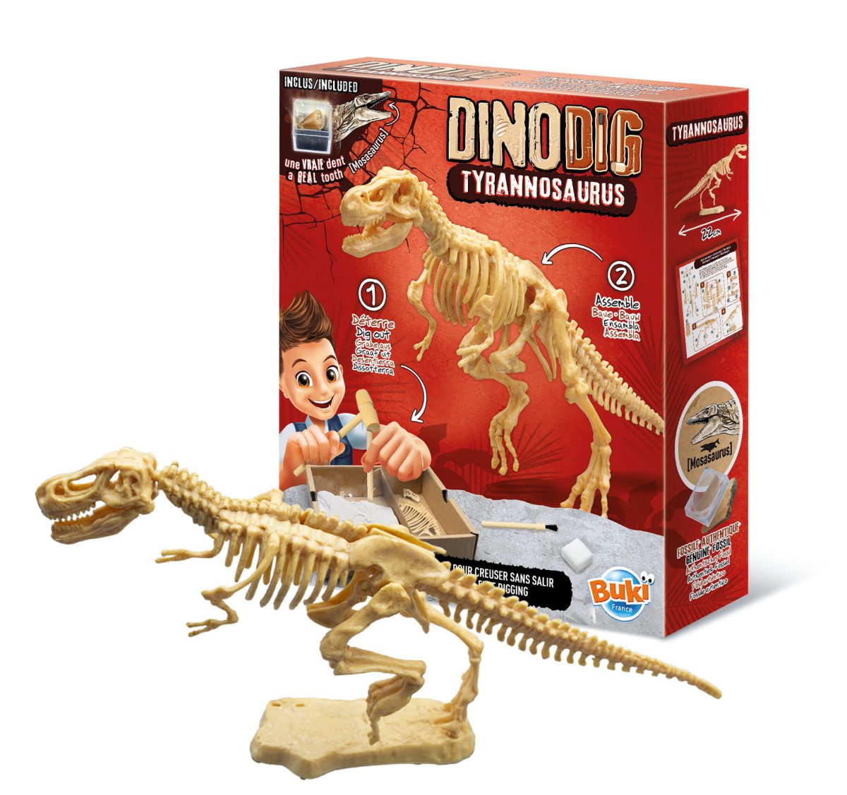 Buki: Mały paleontolog - Tyranozaur 8+ - obrazek 1