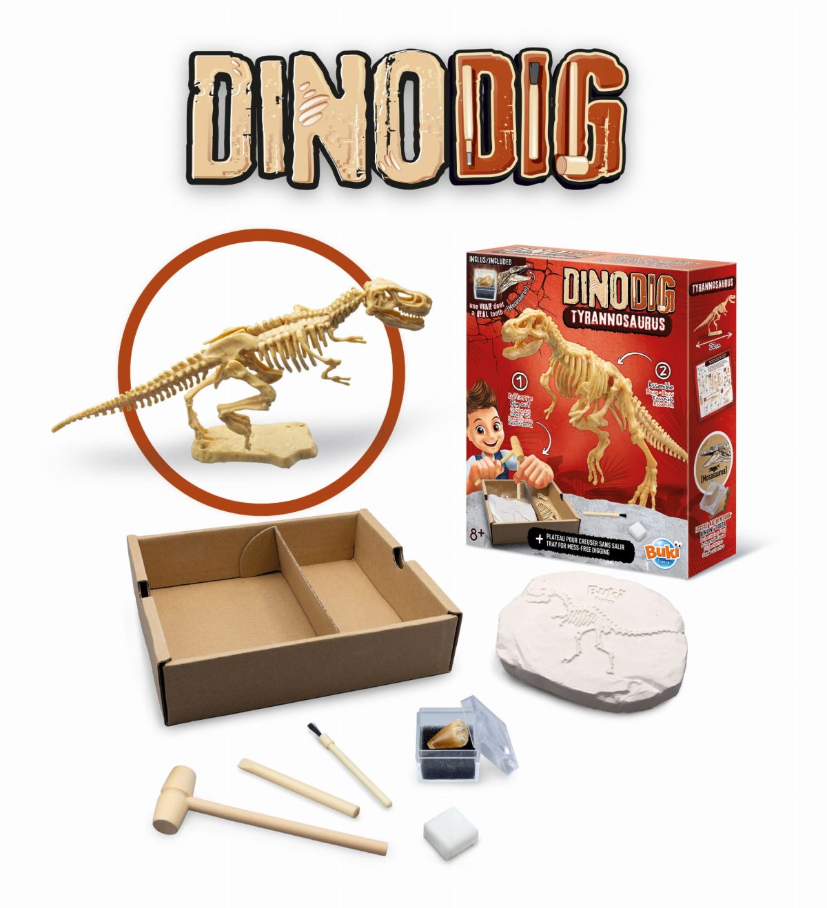 Buki: Mały paleontolog - Tyranozaur 8+ - obrazek 2