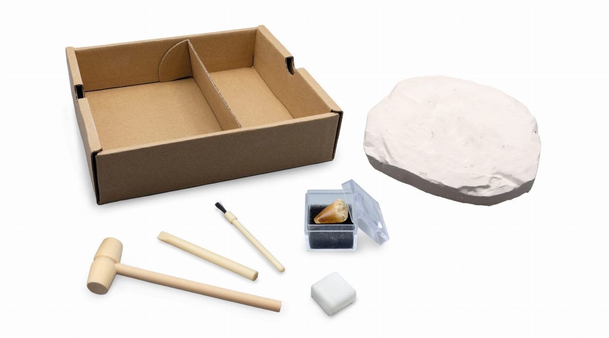 Buki: Mały paleontolog - Brachiozaur 8+ - obrazek 4