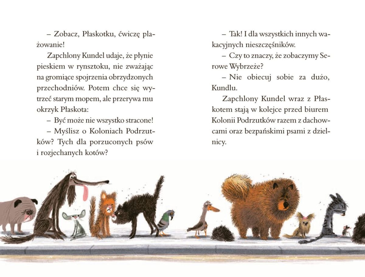Zapchlony Kundel na plaży. Colas Gutman / Wytwórnia - obrazek 2