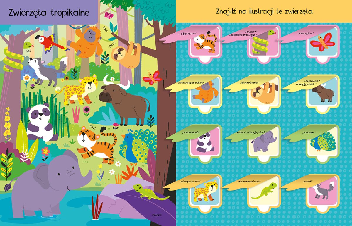 Poznaję zwierzęta. 100 okienek. Kit Elliot / JupiJo - obrazek 3