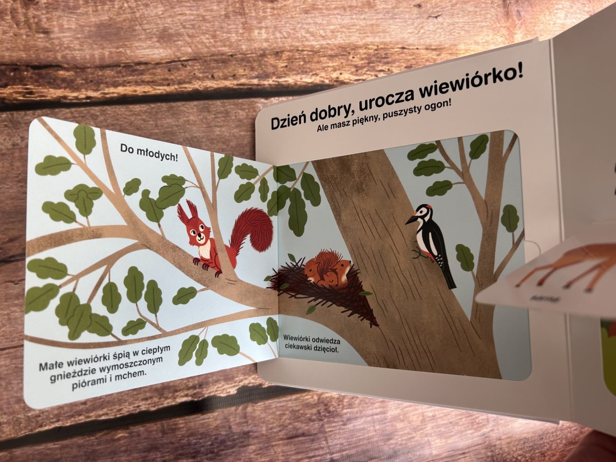 Las. Akademia mądrego dziecka. Moja książeczka z okienkami / HarperKids - obrazek 3