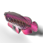 Eugy: Ryba Arowana Azjatycka - Eko Układanka 3D - obrazek 4