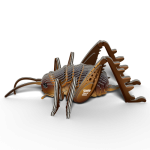 Eugy: Weta Olbrzymia Owad - Eko Układanka 3D - obrazek 3