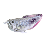 Eugy: ryba Arowana srebrna - Eko Układanka 3D - obrazek 5