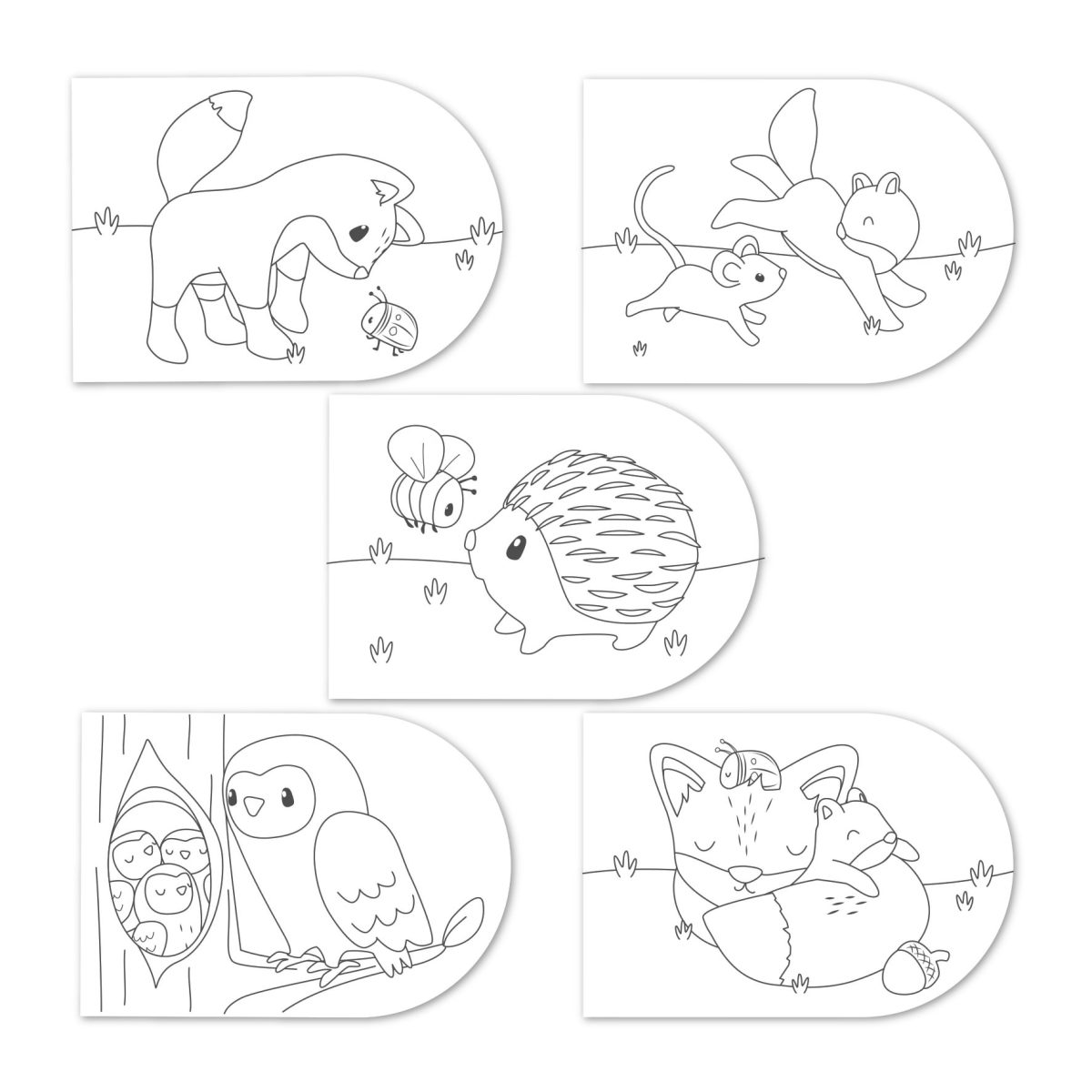 Little Dutch: kolorowanka z farbami akwarelowymi Forest Friends - obrazek 2