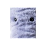 JellyCat: Słonik Niebieski 27 cm - obrazek 2