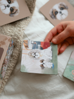 KAWA SHIH TZU - GRA pamięciowa, MEMORY 15 PAR - obrazek 2