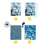 Djeco: Zestaw artystyczny cyjanotypia OCEAN 7+ - obrazek 3