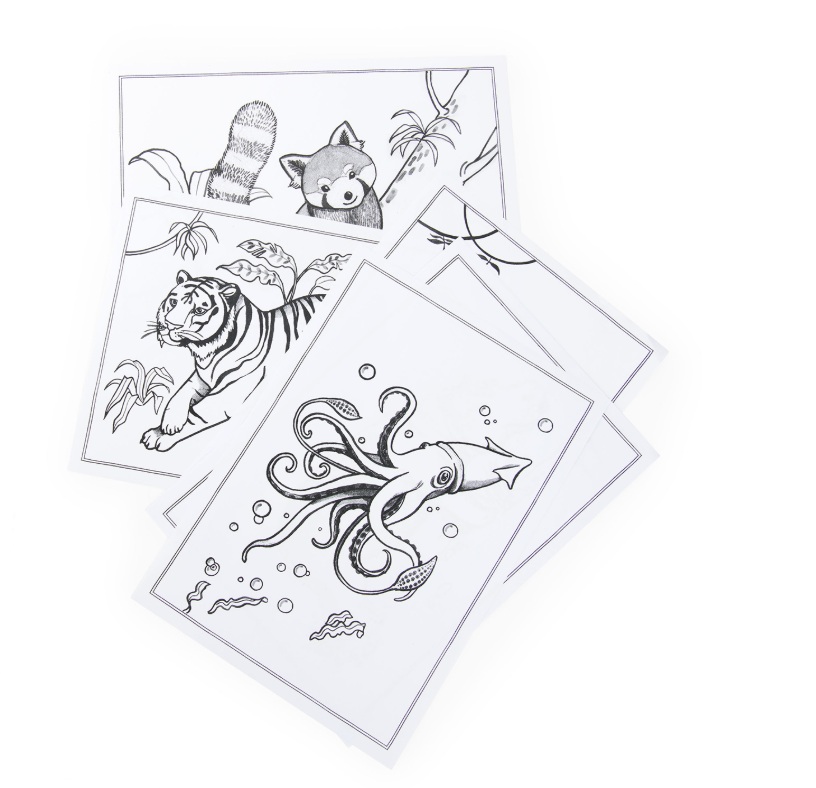 719200-5 Moulin Roty: Dwustronny tablet DOOKOŁA ŚWIATA 5+ - obrazek 6