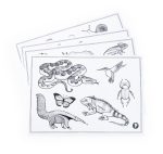 Moulin Roty: Dwustronny tablet DOOKOŁA ŚWIATA 5+ - obrazek 5