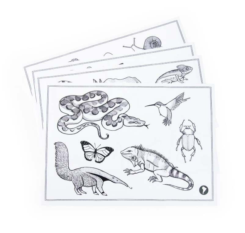 719200-6 Moulin Roty: Dwustronny tablet DOOKOŁA ŚWIATA 5+ - obrazek 5