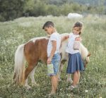 SASSI: Termos obiadowy dla dzieci 350ml Dinozaur - obrazek 5