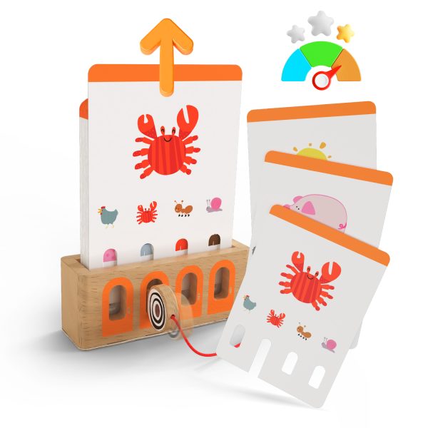 TOPBRIGHT: edukacyjna gra karciana z kluczem logiczne łamigłówki poziom podstawowy 36m+