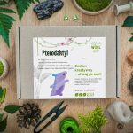 AGNA WOOL ART: Ufilcuj go sam! Zestaw do filcowania Pterodaktyl