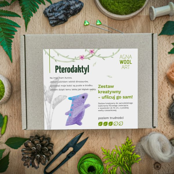 AGNA WOOL ART: Ufilcuj go sam! Zestaw do filcowania Pterodaktyl