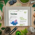 AGNA WOOL ART: Ufilcuj go sam! Zestaw do filcowania Triceratops