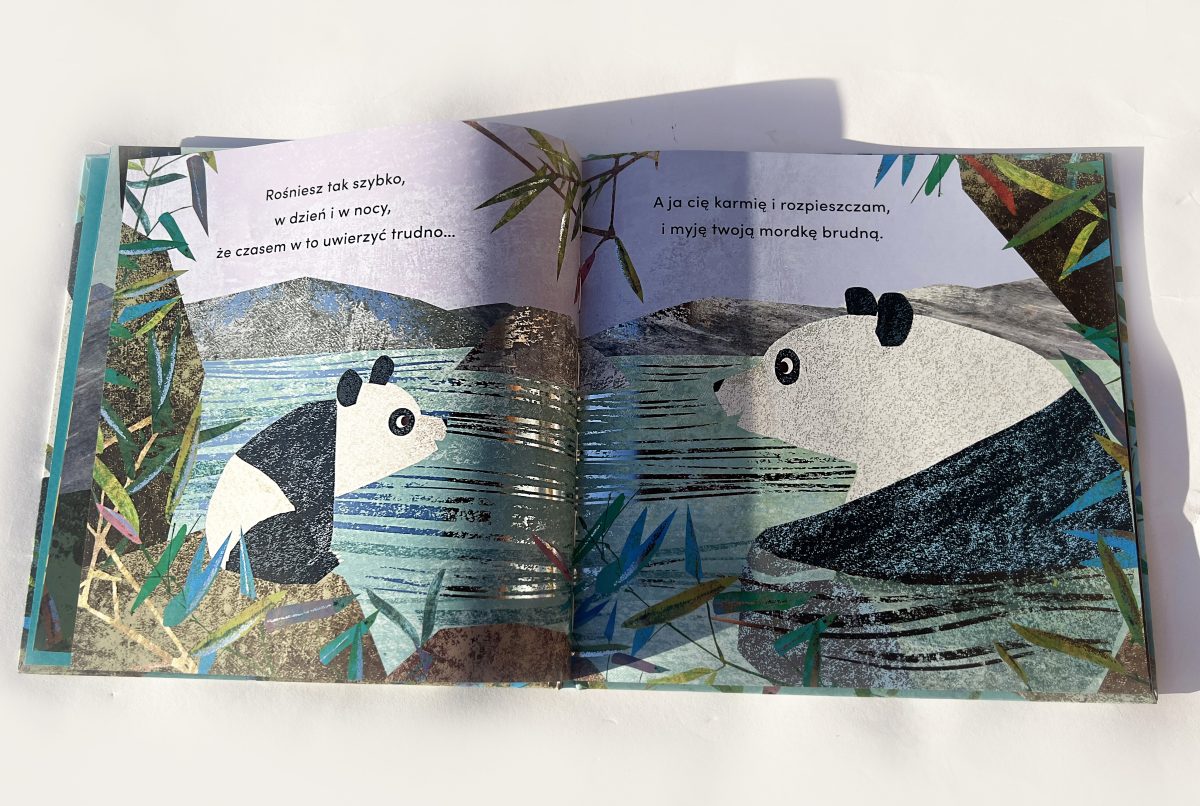 Od kiedy jestem twoją babcią. Susannah Shane / HarperKids - obrazek 3