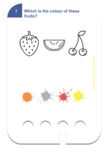 WiemTo: Kolory i Kształty - Zestaw 24 kart edukacyjnych 3+ - obrazek 4