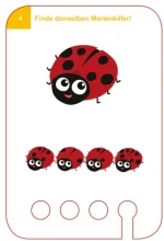 WiemTo: Percepcja Wzrokowa Zadania - Zestaw 24 kart edukacyjnych 4+ - obrazek 2