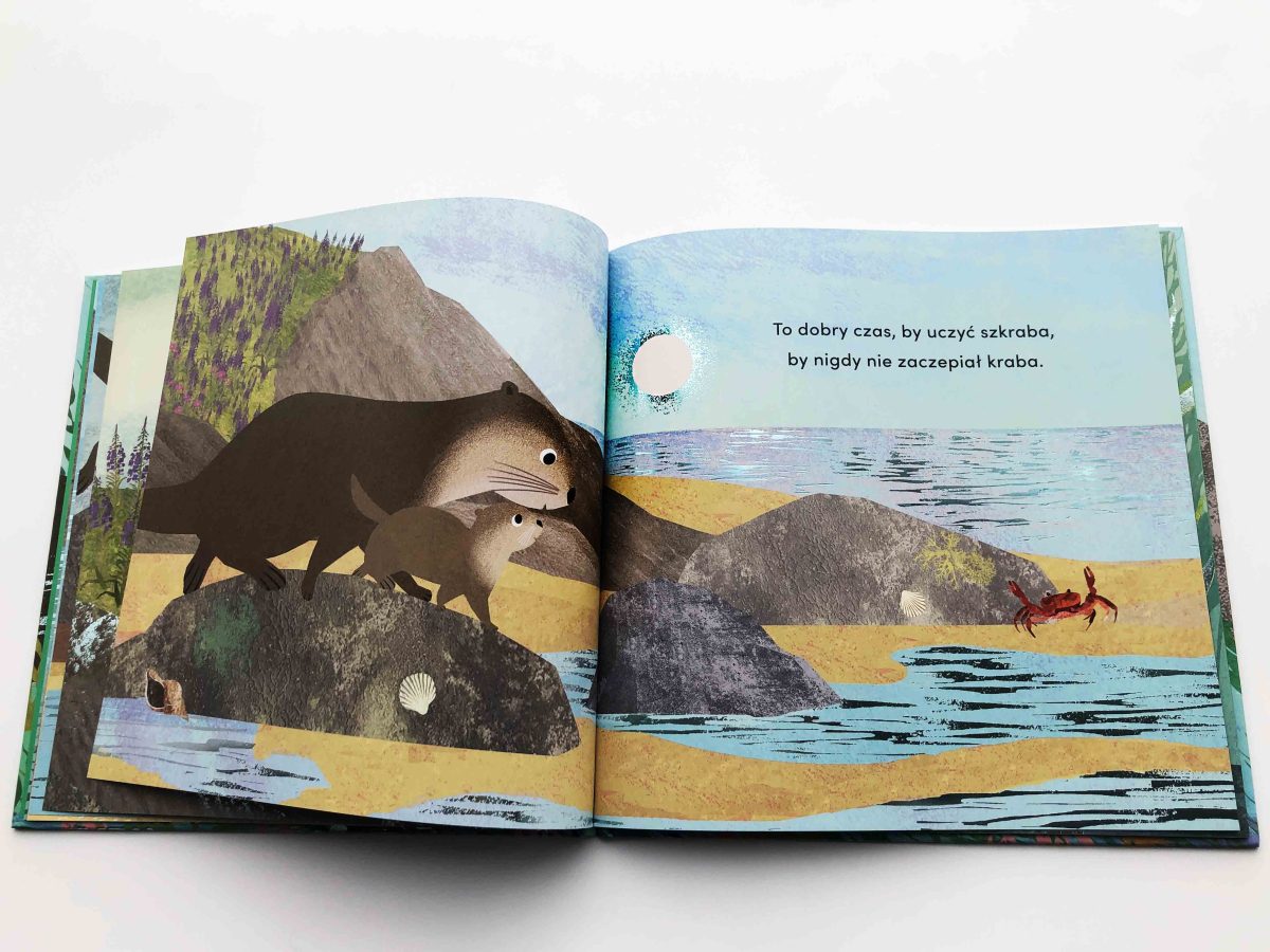 Od kiedy jestem twoim tatą. Susannah Shane / HarperKids - obrazek 2