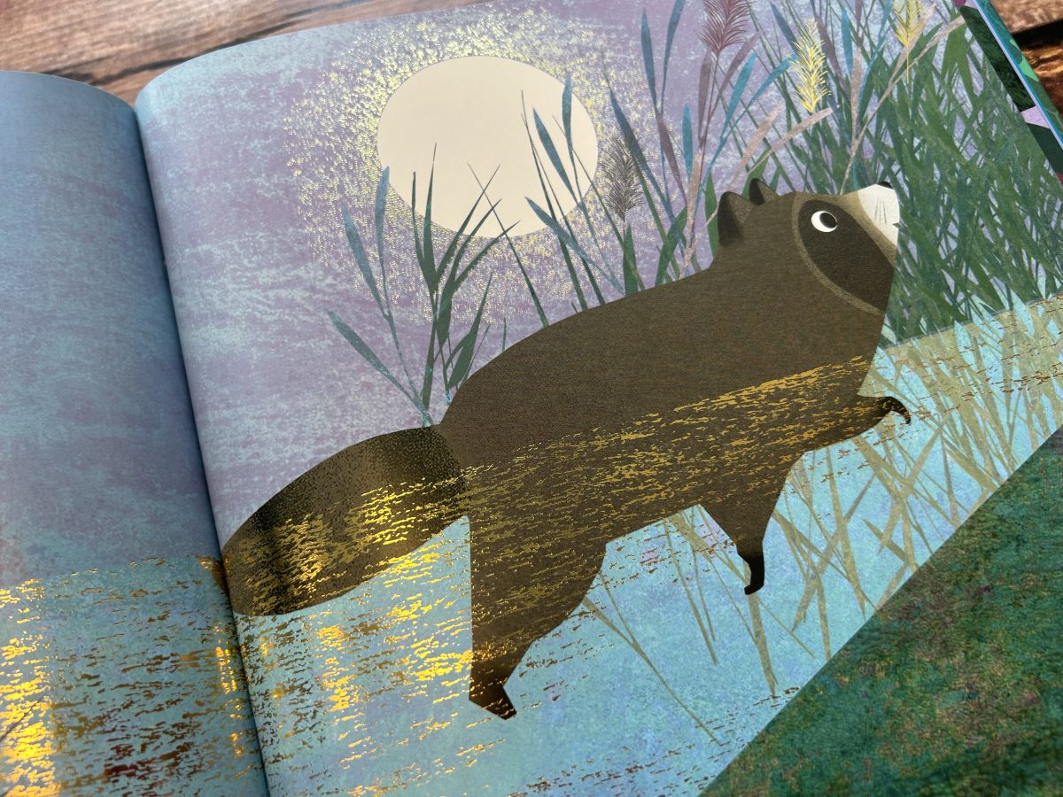 Od kiedy jestem twoją siostrą. Susannah Shane / HarperKids - obrazek 4