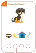 WiemTo: PAKIET Startowy - Pudełko + Zestaw 24 Kart dla dzieci 5+ - obrazek 6