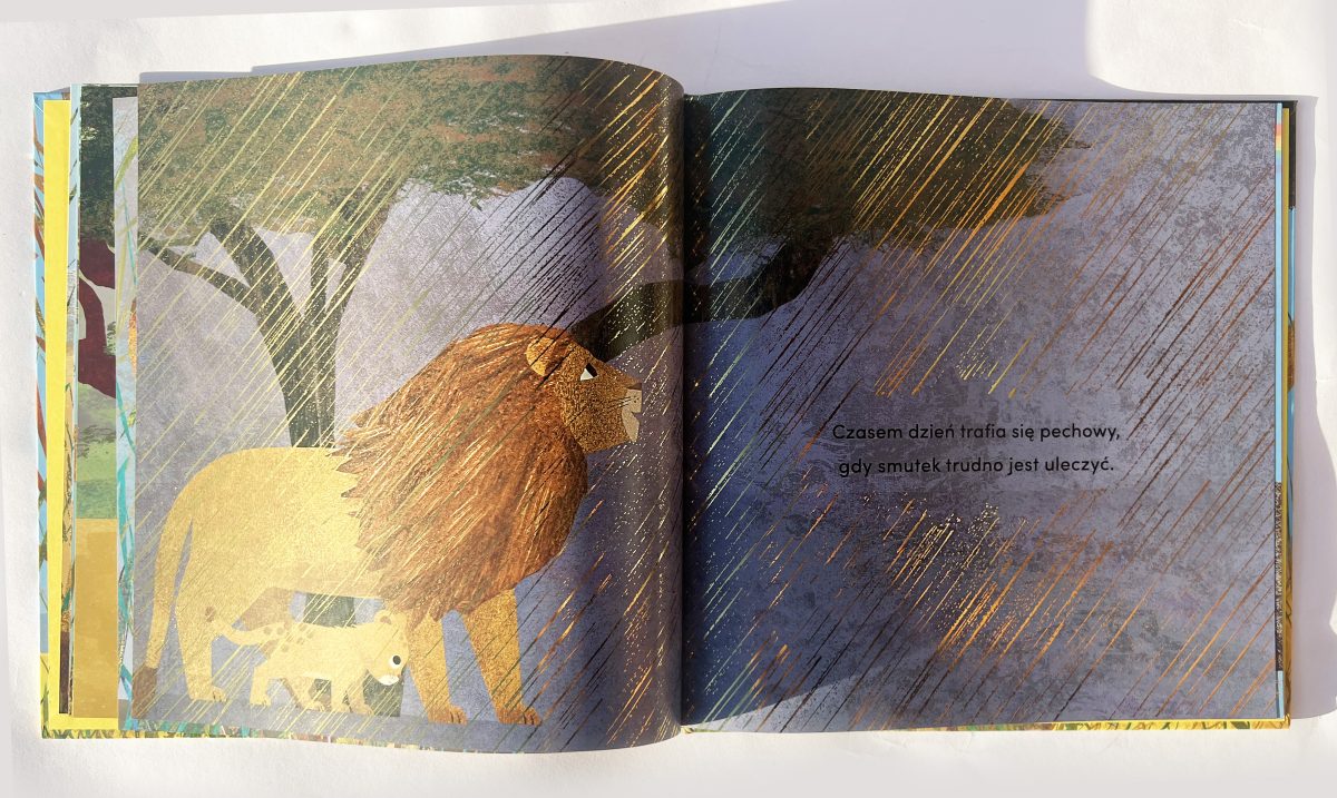 Od kiedy jestem twoim dziadkiem. Susannah Shane / HarperKids - obrazek 2