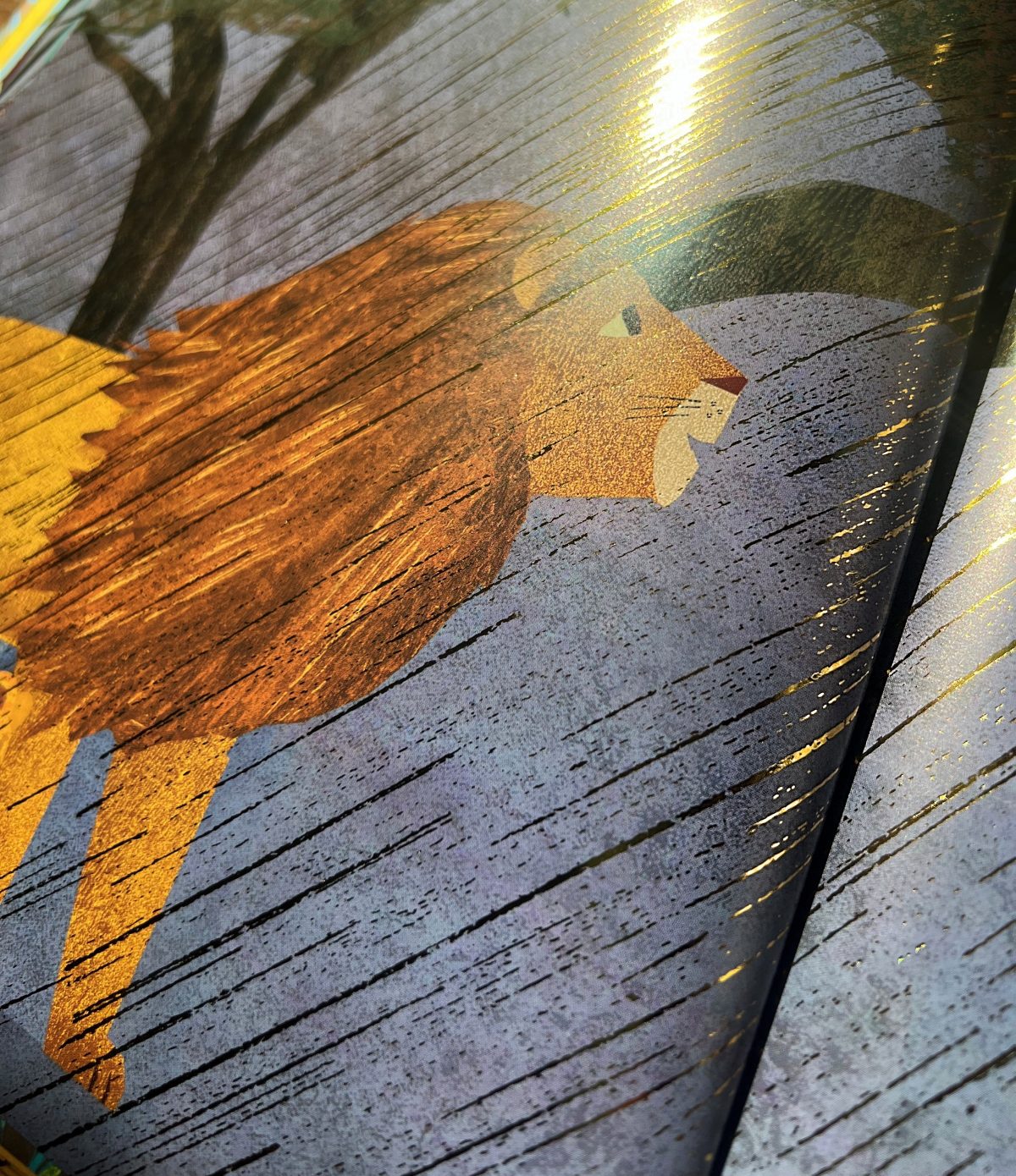 Od kiedy jestem twoim dziadkiem. Susannah Shane / HarperKids - obrazek 4