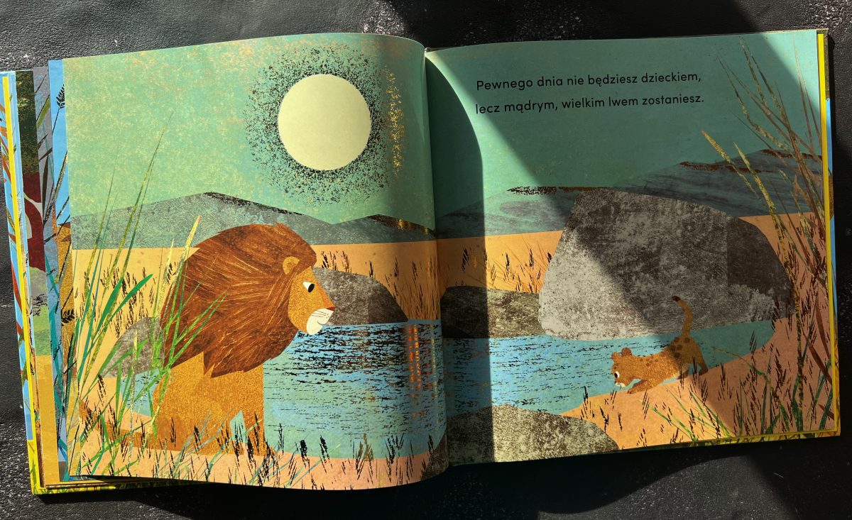 Od kiedy jestem twoim dziadkiem. Susannah Shane / HarperKids - obrazek 3