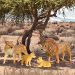 Terra by Battat: ZESTAW figurek - RODZINA zwierząt - LWY - obrazek 3