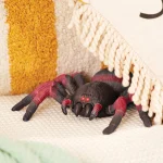 Terra by Battat: Zdalnie sterowany PAJĄK TARANTULA czerwona 6+ - obrazek 4