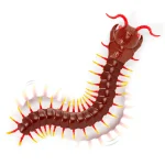 Terra by Battat: Zdalnie sterowana SKOLOPENDRA OLBRZYMIA brązowa 6+ - obrazek 7