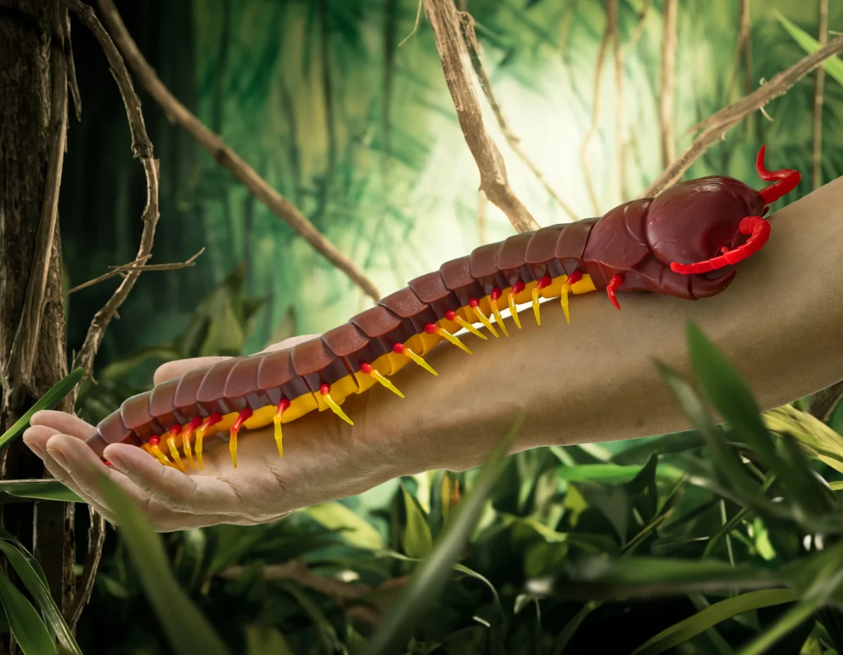 Terra by Battat: Zdalnie sterowana SKOLOPENDRA OLBRZYMIA brązowa 6+ - obrazek 3