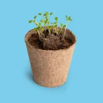 Resetea: zestaw do uprawy zestaw do uprawy kwiatów dla zapylaczy | mój pierwszy ogródek - obrazek 3